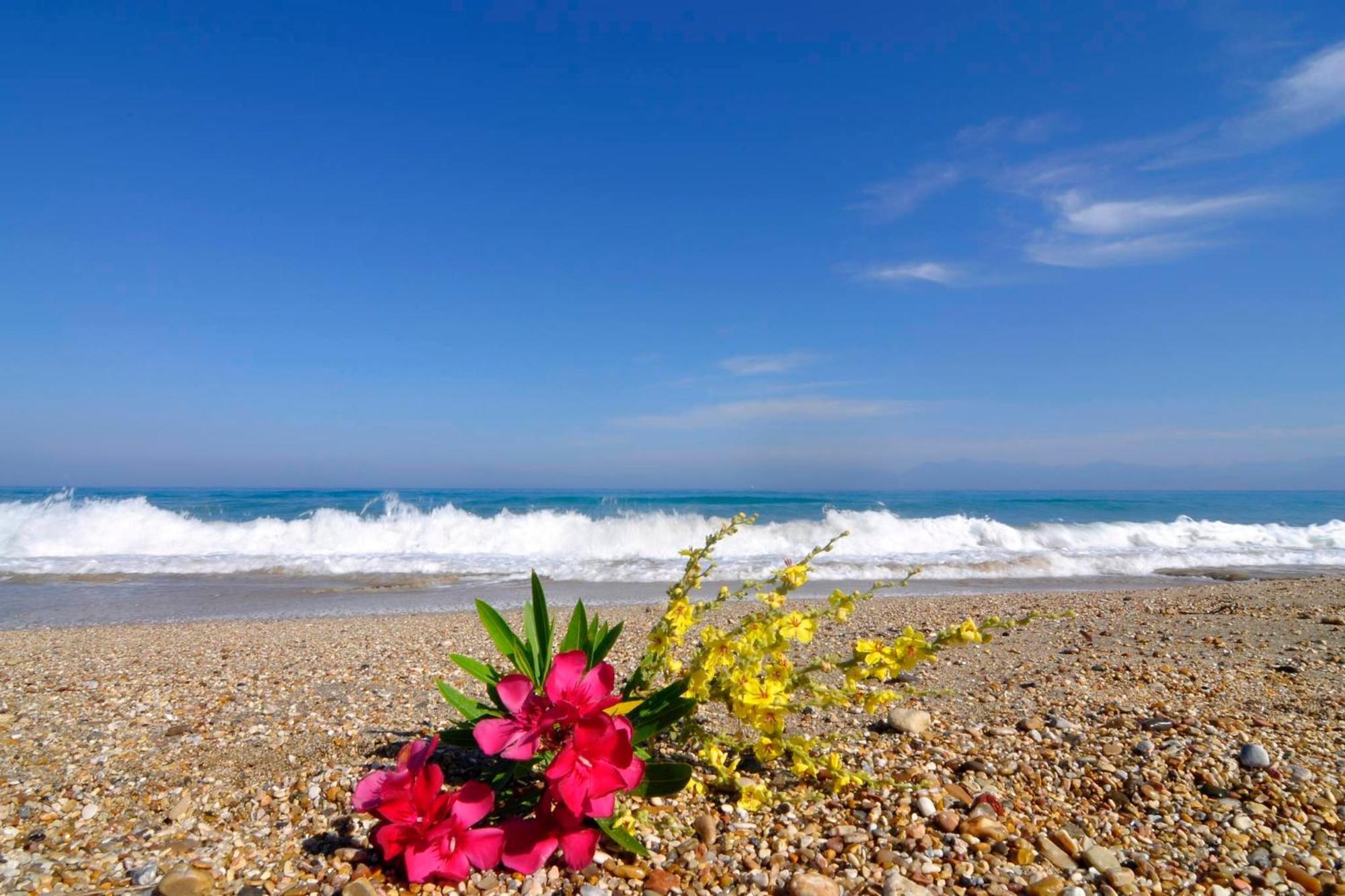 Almyra Beach House Corfu Almiros Beach Luaran gambar